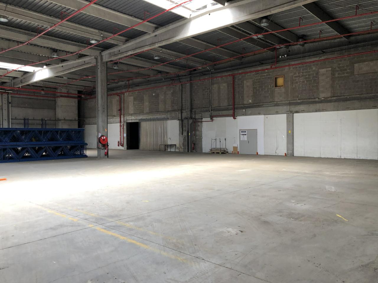Local d'activité Strasbourg 2587m² Location local d'activité Strasbourg Bas-Rhin OLACT2310357 9